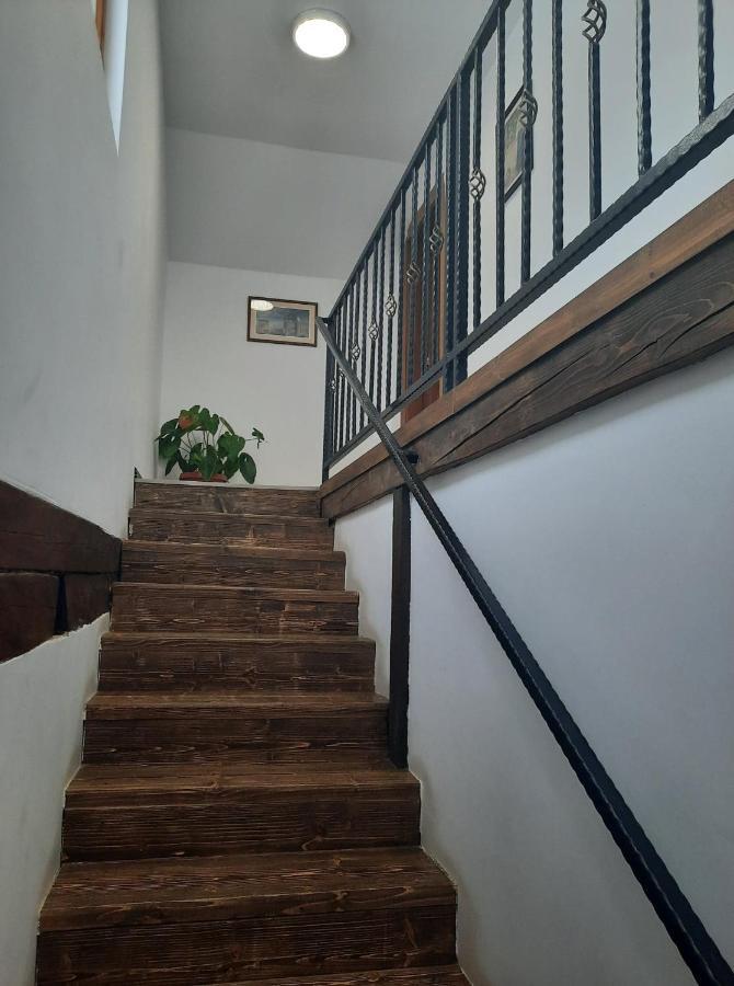 Casa Maria Ξενοδοχείο Vatra Dornei Εξωτερικό φωτογραφία