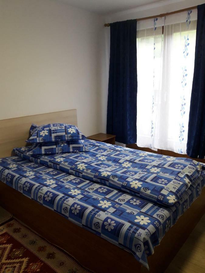 Casa Maria Ξενοδοχείο Vatra Dornei Εξωτερικό φωτογραφία